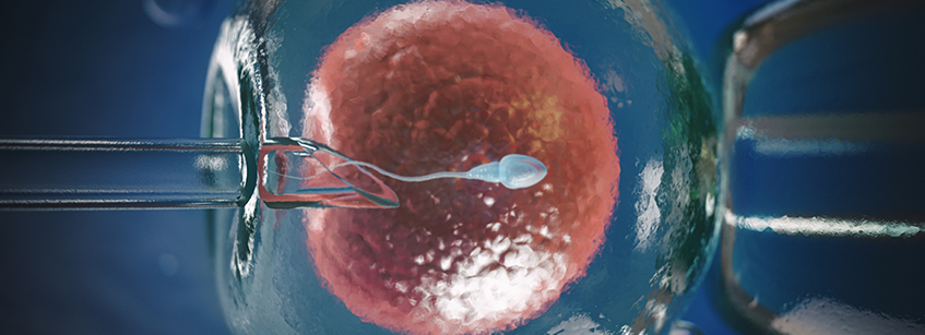 fecundación in vitro